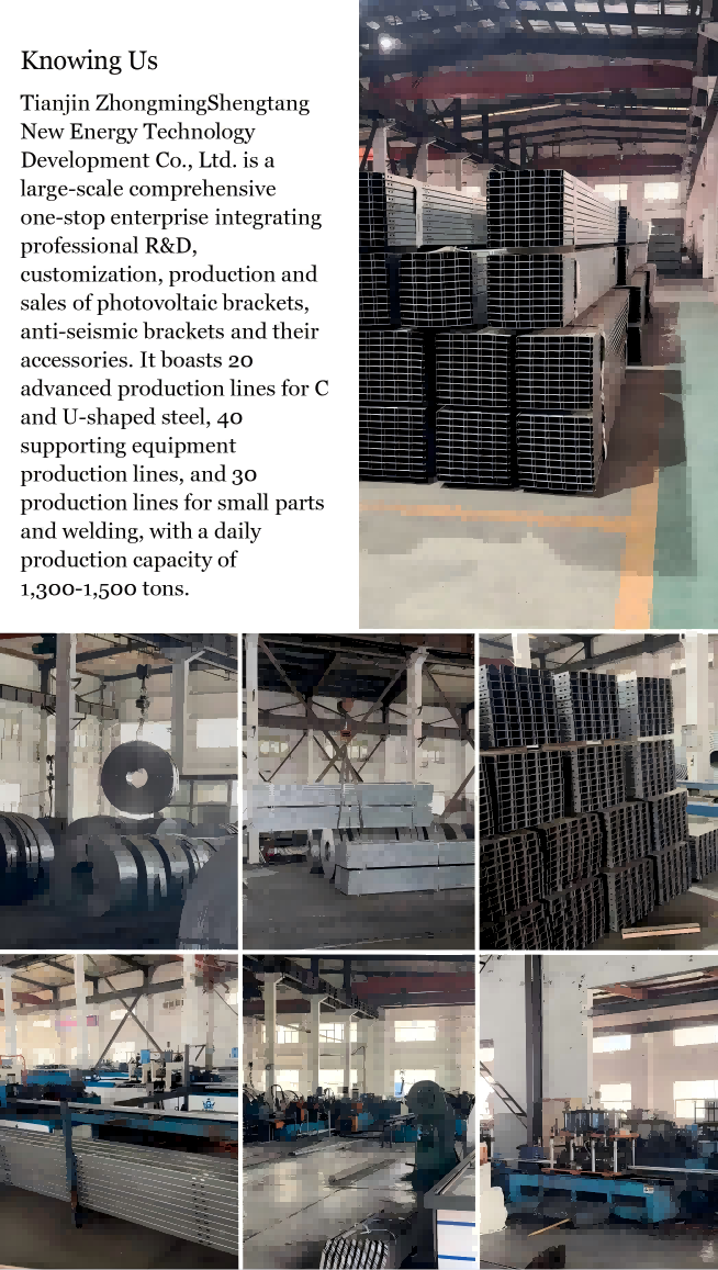 company profile company profile